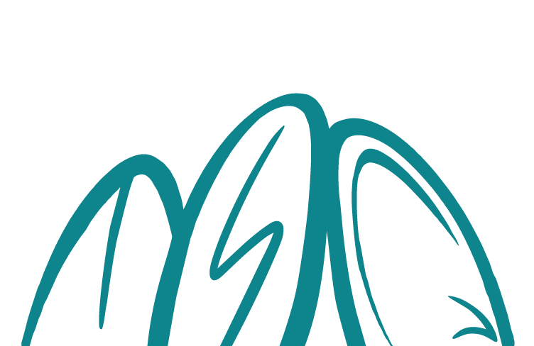 Trifecta Surf Club
